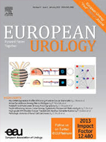 Our Experience on the Association of a New Physical and Medical Therapy in Patients Suffering from Induratio penis plastica